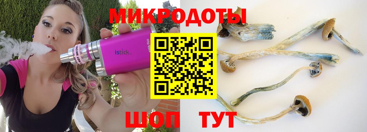 Псилоцибиновые грибы MAGIC MUSHROOMS  Вход с VPN  Лениногорск 